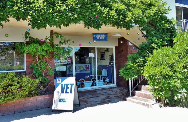 Hawker ACT Vet Australia