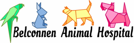 Belconnen Animal Hospital - Vet Australia 1