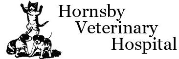 Waverton NSW Vet Australia