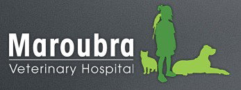 Maroubra Veterinary Hospital Pagewood