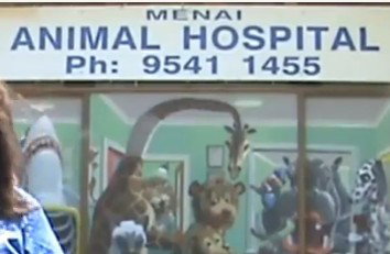 Menai Animal Hospital Bangor