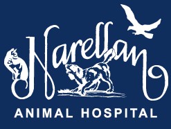 Narellan Animal Hospital Narellan