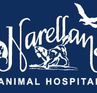 Narellan Animal Hospital - Vet Australia