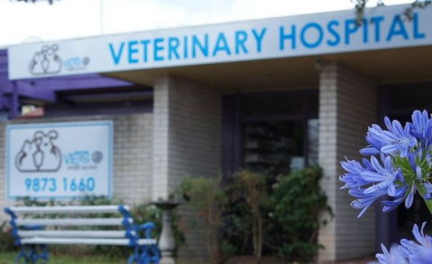 North Rocks Veterinary Hospital - Vet Australia 1