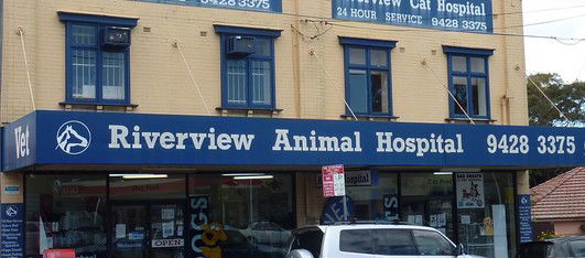 Riverview Animal Hospital Lane Cove