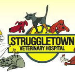 Struggletown Veterinary Hospital - Vet Australia