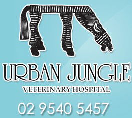 Urban Jungle Vet Hospital - Vet Australia 0