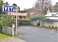 West Pennant Hills NSW Vet Australia