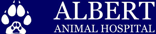 Springwood QLD Vet Australia