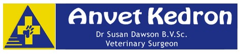 Anvet Kedron Veterinary Surgery - Vet Australia 0