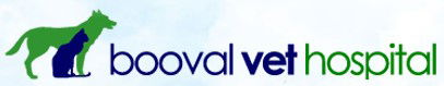  Vet Australia