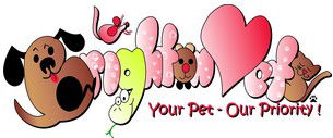 Shorncliffe QLD Vet Australia
