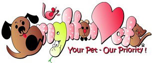 Brighton Veterinary Surgery - Vet Australia 0