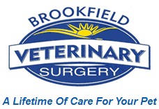 Brookfield Veterinary Surgery Brookfield