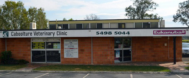 Caboolture Veterinary Clinic Morayfield