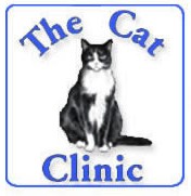 Mount Gravatt QLD Vet Australia