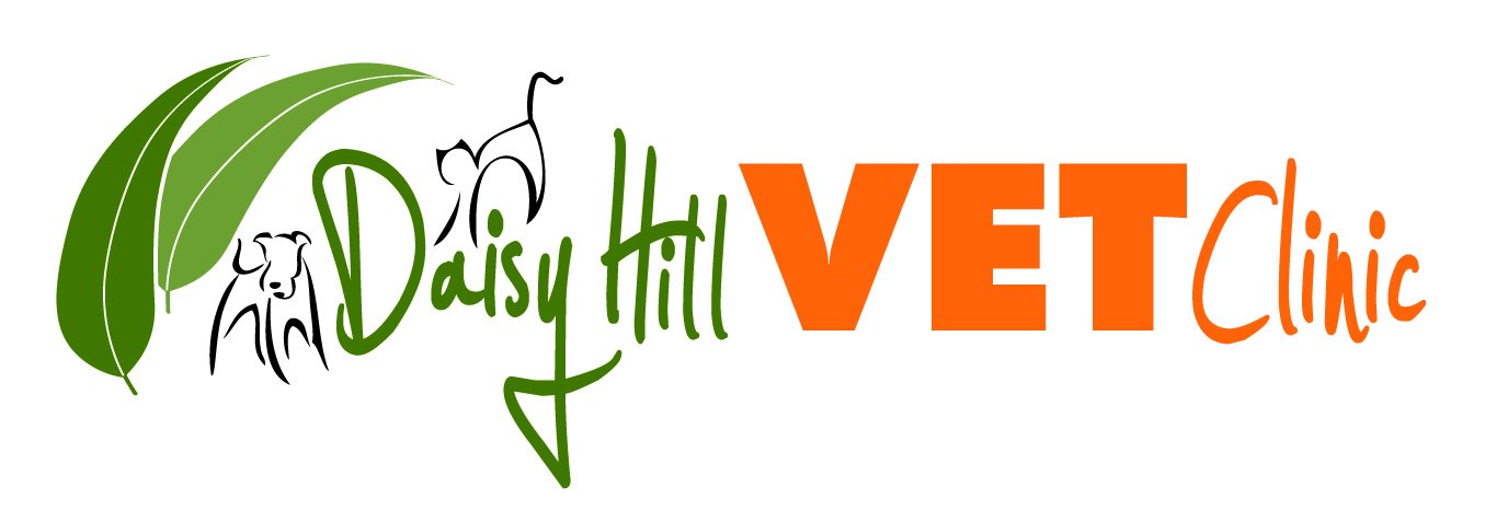 Daisy Hill Vet Clinic Daisy Hill