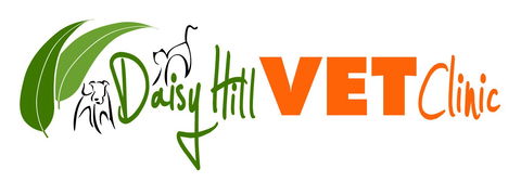 Daisy Hill Vet Clinic - Vet Australia 0