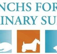 Frenchs Forest Veterinary Surgery - Vet Australia