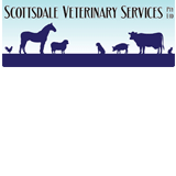 Rhyndaston TAS Vet Australia