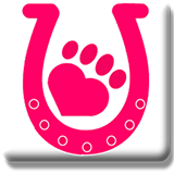 North West Animal Hospital  Clinic - Vet Australia