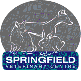 Springfield Veterinary Centre Moonah West