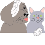 Eastern Shore Veterinary Hospital - Vet Australia