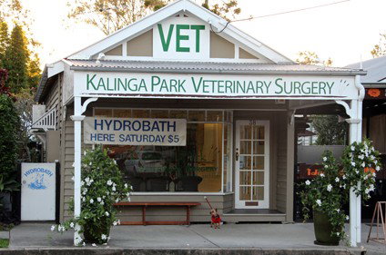 Kalinga Park Veterinary Surgery - Vet Australia 0