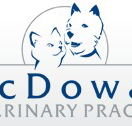 McDowall Veterinary Practice - Vet Australia