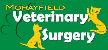 Morayfield Veterinary Surgery Morayfield
