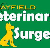 Morayfield Veterinary Surgery - Vet Australia