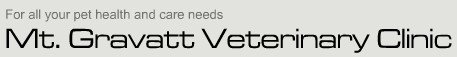 Mt Gravatt Veterinary Clinic Mount Gravatt
