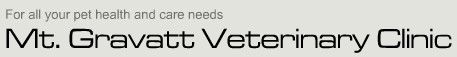 Mt Gravatt Veterinary Clinic - Vet Australia 0
