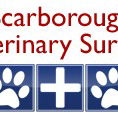 Scarborough Veterinary Surgery - Vet Australia