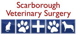 Scarborough Veterinary Surgery - Vet Australia 0