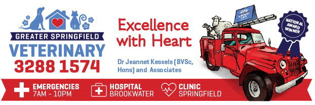 Greater Springfield Veterinary Springfield