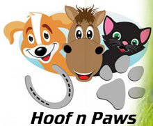 Vevs HoofnPaws Vets Jimboomba