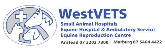 Westvets Animal Hospitals Anstead