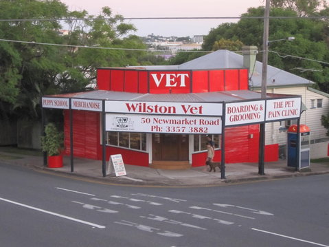 Wilston Vet - Vet Australia 1