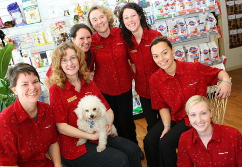 Wilston Vet - Vet Australia 2