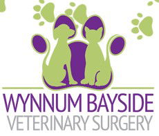 Wynnum Bayside Veterinary Surgery - Vet Australia 1