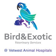 Bird  Exotic Veterinary Services - Perth Hillarys