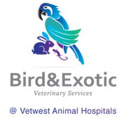 Bird  Exotic Veterinary Services - Perth - Vet Australia