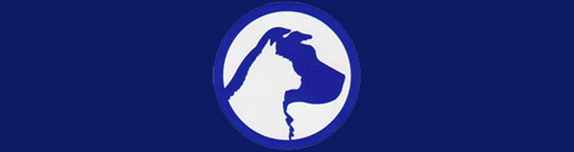 Red Hill VIC Vet Australia
