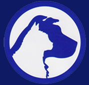 Carrum Downs Veterinary Clinic - Vet Australia