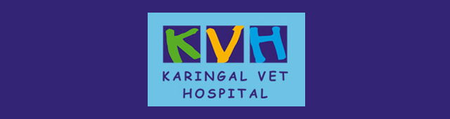Frankston VIC Vet Australia