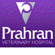 Prahran East VIC Vet Australia