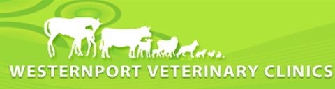 Westernport Veterinary Clinics - Vet Australia 0