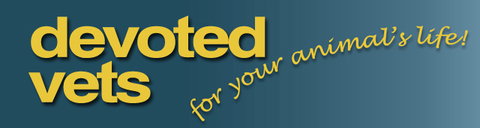 Devoted Vets - Vet Australia 0
