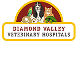 Montmorency Veterinary Hospital - Vet Australia